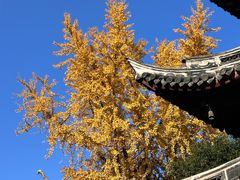 -龙华素斋(龙华路店)