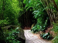 -南沙蒲洲花园
