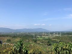 -新鸿港水果市场