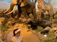 -陕西自然博物馆