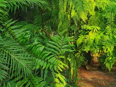 -国家植物园南园