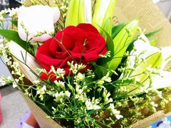 -维利康(优尚天地店)