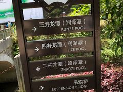 -宁波五龙潭景区