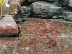 -观澜湖生态运动公社