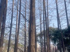 -采石矶景区