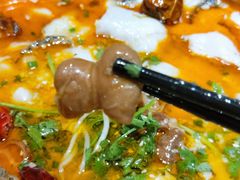 肥肠鱼-龙梅肥肠鱼(明瓦廊店)