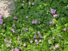 -旭川 SPA·按摩·足道(大木桥路店)