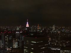 -东京都厅舍