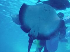 -常州海昌海洋探索馆