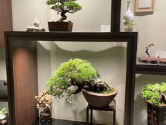 -双季花艺园艺市场(浦东店)