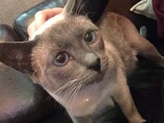 -MIKAKU(万达广场上海宝山店)