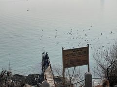-烟台山景区