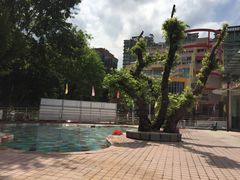 -奥冠体育恒温游泳馆(市少年宫店)