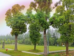 -前小桔亲子创意农场·草莓采摘·露营烧烤