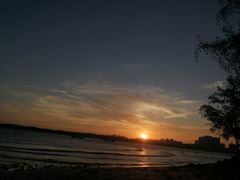 -东郊椰林