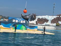 -秦皇岛乐岛海洋王国