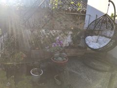 -浔岚云舍mist静谧观景美宿(丽江古城店)