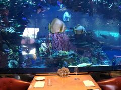 -迪拜帆船酒店海底餐厅