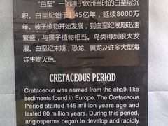 -烟台自然博物馆