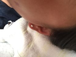-花师傅