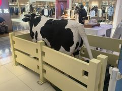 -红星前进面包牛奶公司(君太店)