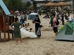-九龙湖公园