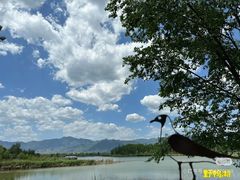 -野鸭湖国家湿地公园