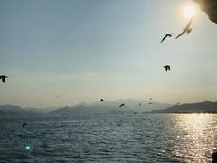 -北岐滩涂