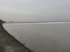 -观潮胜地公园
