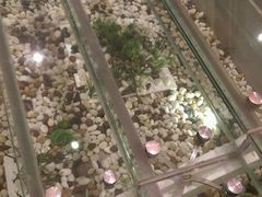 -龙湖西安曲江天街