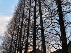 -吾介小籠館