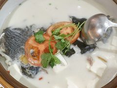 -全乐鱼馆·淳牌有机鱼直营店