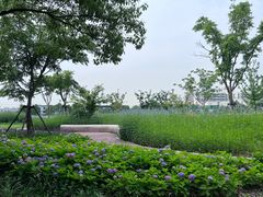 -智慧湾科创园