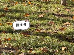 -丰台花园