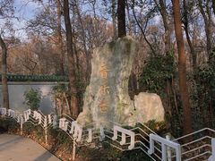 -音乐台