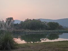 -长广溪湿地公园