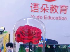 -语朵教育·日韩德法留学(曹杨校区)