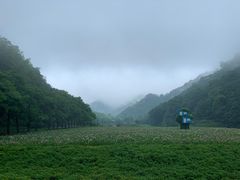 -广州市石门国家森林公园