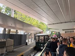 -山顶缆车