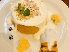 -more than meow吴止猫主题餐厅(承德 中船汇店)