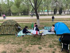 -永定河休闲森林公园