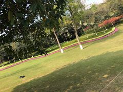 -龙头寺公园