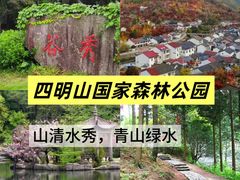 -宁波浙东大竹海景区
