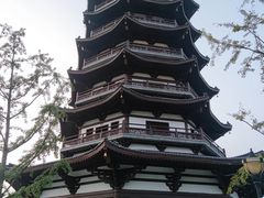 -洋湖国家湿地公园