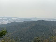 -山北老老头馄饨