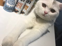 -莫老爷·正宗桂林米粉(南油店)