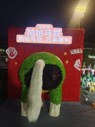 -江苏谢馥春国妆股份有限公司