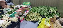 -蓓爱娇琪月子会所(虹口店)
