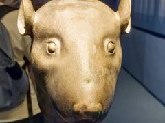 -广西壮族自治区博物馆