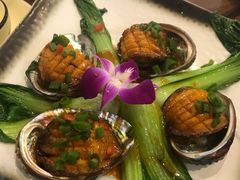 浇汁鲍鱼-友强·23年特色海鲜大排档(厦门店)